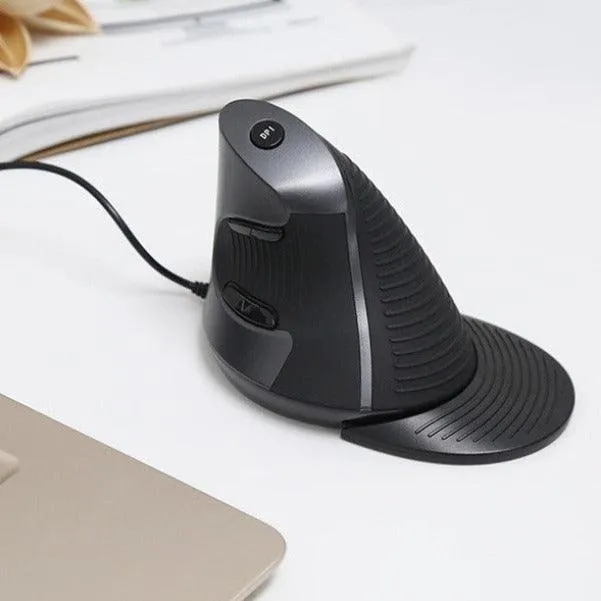 Delux M618BU Vertical Ergonomic Mouse: Wired mouse with palm rest and 6 buttons