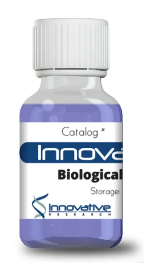 Galectin-4 Recombinant Protein His Tag Lyophilized