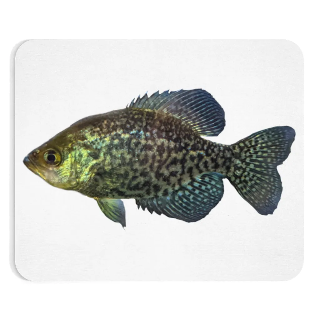 Golden Fish Mouse Pad (EU)