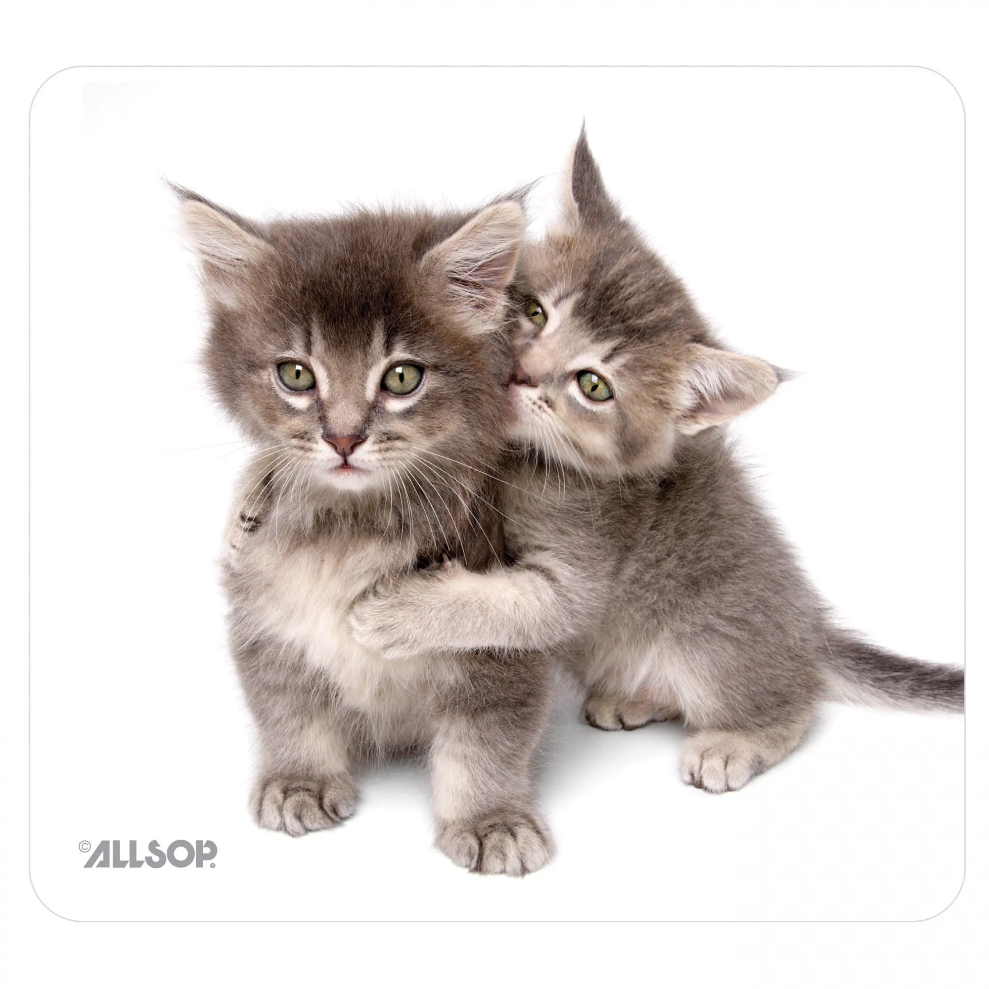 NatureSmart Image Mousepad - Kittens