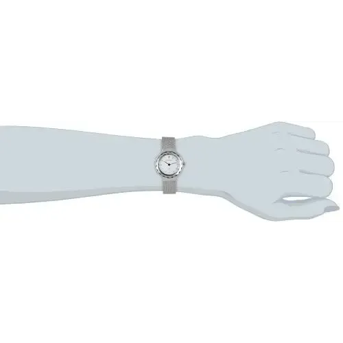 SKA456SSS Skagen Watch