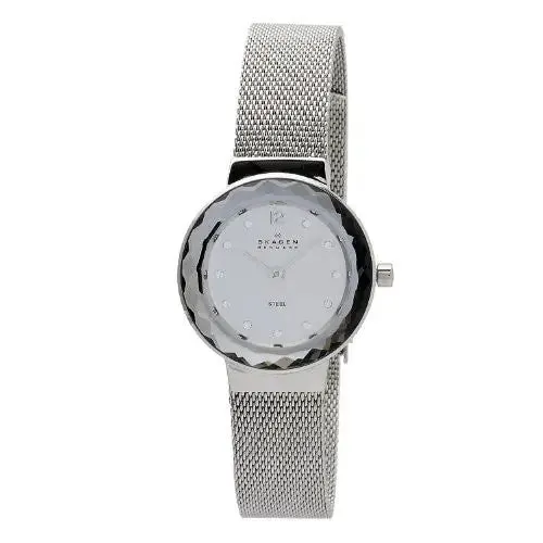 SKA456SSS Skagen Watch