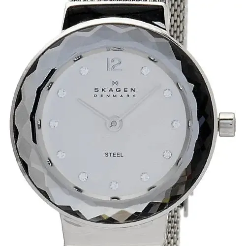 SKA456SSS Skagen Watch