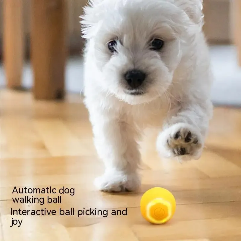 Smart Electric Cat Ball Toys Automatic Rolling USB Toys for Cats Training Self-moving Kitten Toys for Indoor Interactive Playing