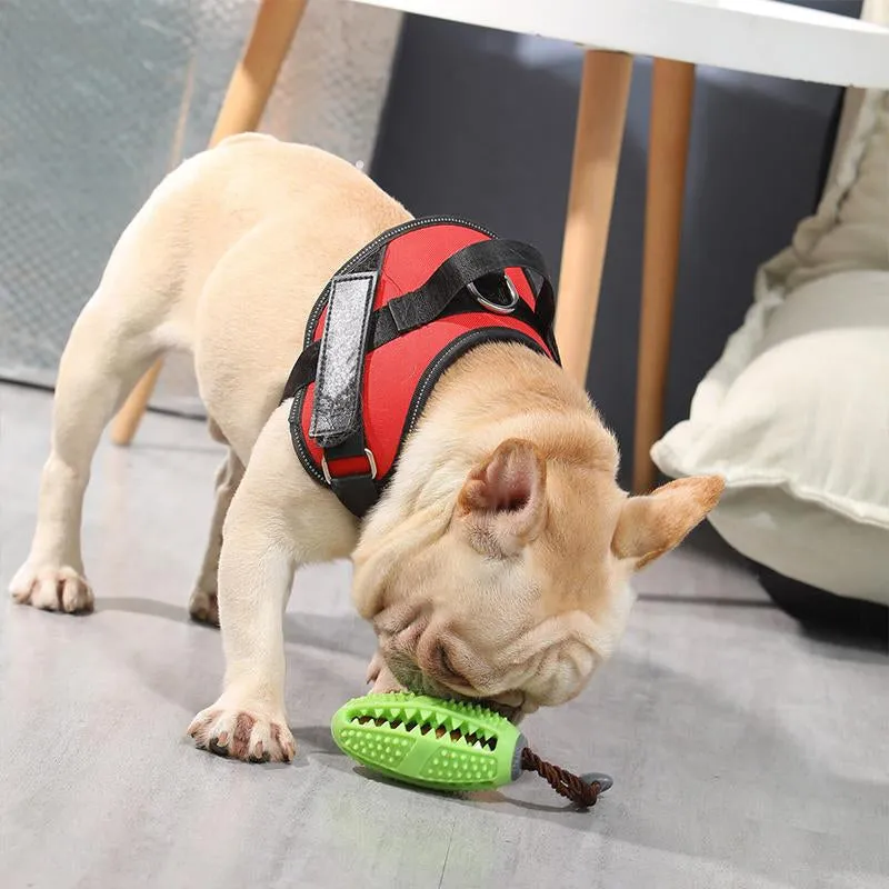 Toothbrush toy for dogs - prevents dental diseases