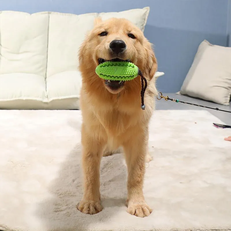 Toothbrush toy for dogs - prevents dental diseases