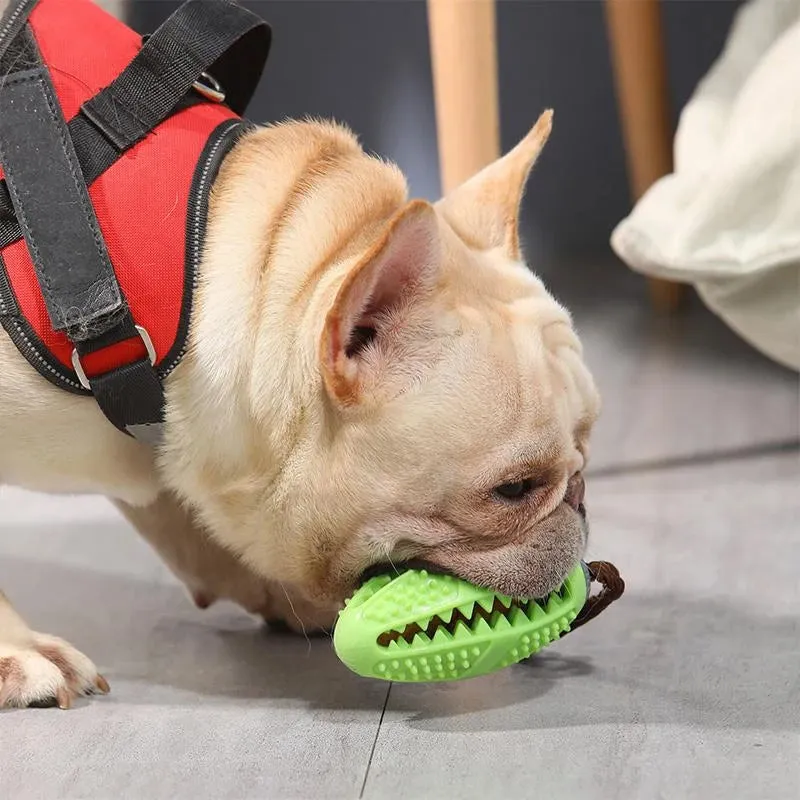 Toothbrush toy for dogs - prevents dental diseases