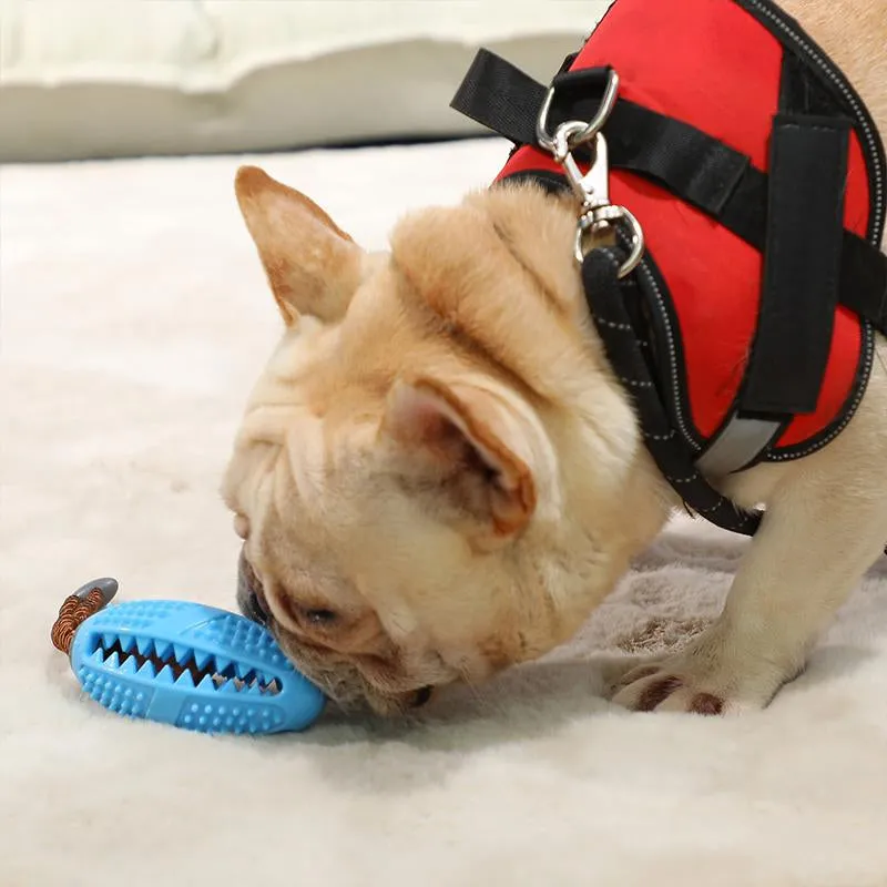 Toothbrush toy for dogs - prevents dental diseases