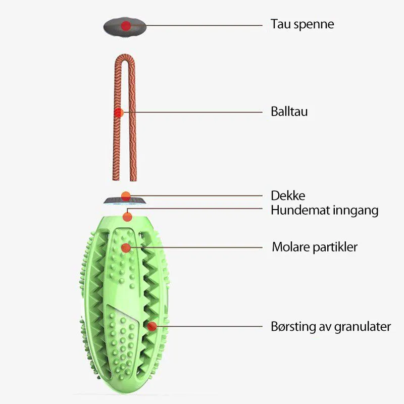 Toothbrush toy for dogs - prevents dental diseases