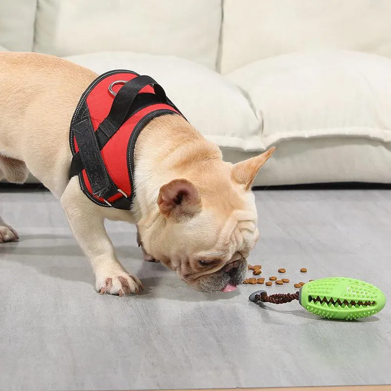 Toothbrush toy for dogs - prevents dental diseases