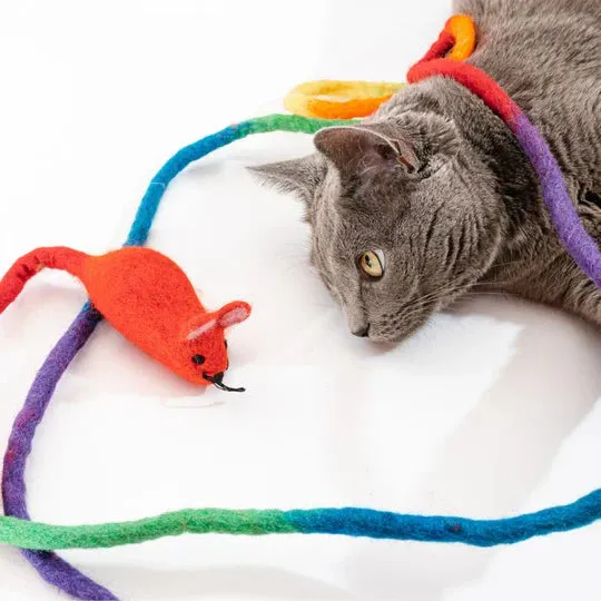 Wool Mouse Cat Toy 6ft Tail Rainbow